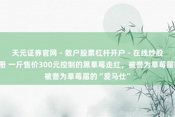 天元证券官网 - 散户股票杠杆开户 - 在线炒股如何配资注册 一斤售价300元控制的黑草莓走红，被誉为草莓届的“爱马仕”