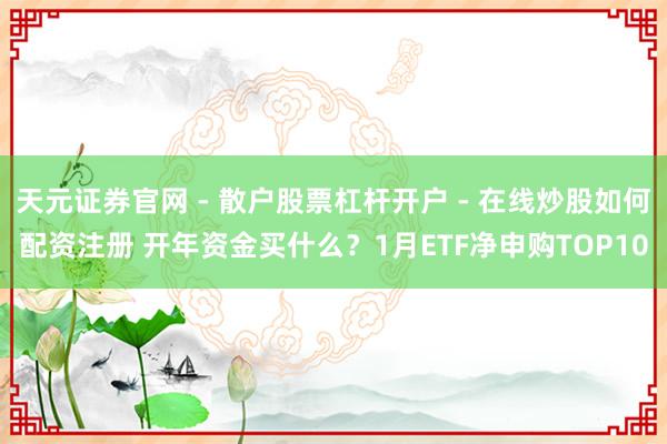 天元证券官网 - 散户股票杠杆开户 - 在线炒股如何配资注册 开年资金买什么？1月ETF净申购TOP10