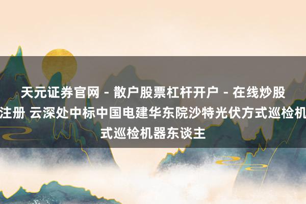 天元证券官网 - 散户股票杠杆开户 - 在线炒股如何配资注册 云深处中标中国电建华东院沙特光伏方式巡检机器东谈主